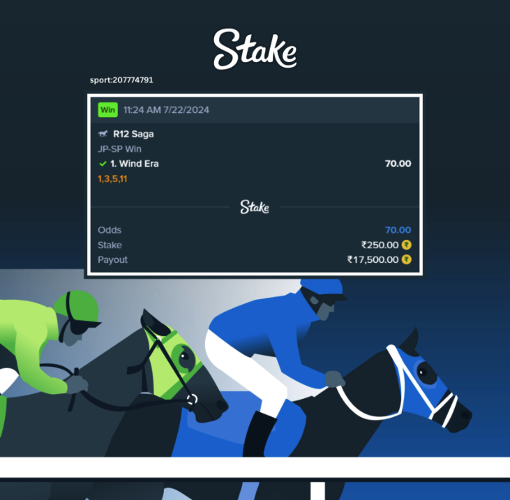 Stake Horse Racing Big Win